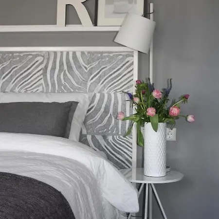 فندق مبيت وإفطار 't Nieuwe Plein 2*