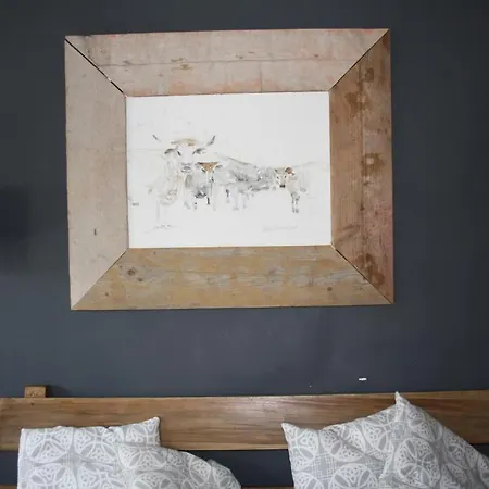 't Nieuwe Plein أرنهيم